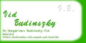 vid budinszky business card